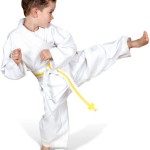 kidkarate kidkarate