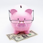 piggy with glasses