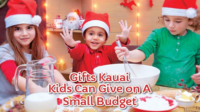 GiftsKauaiKidsBudget