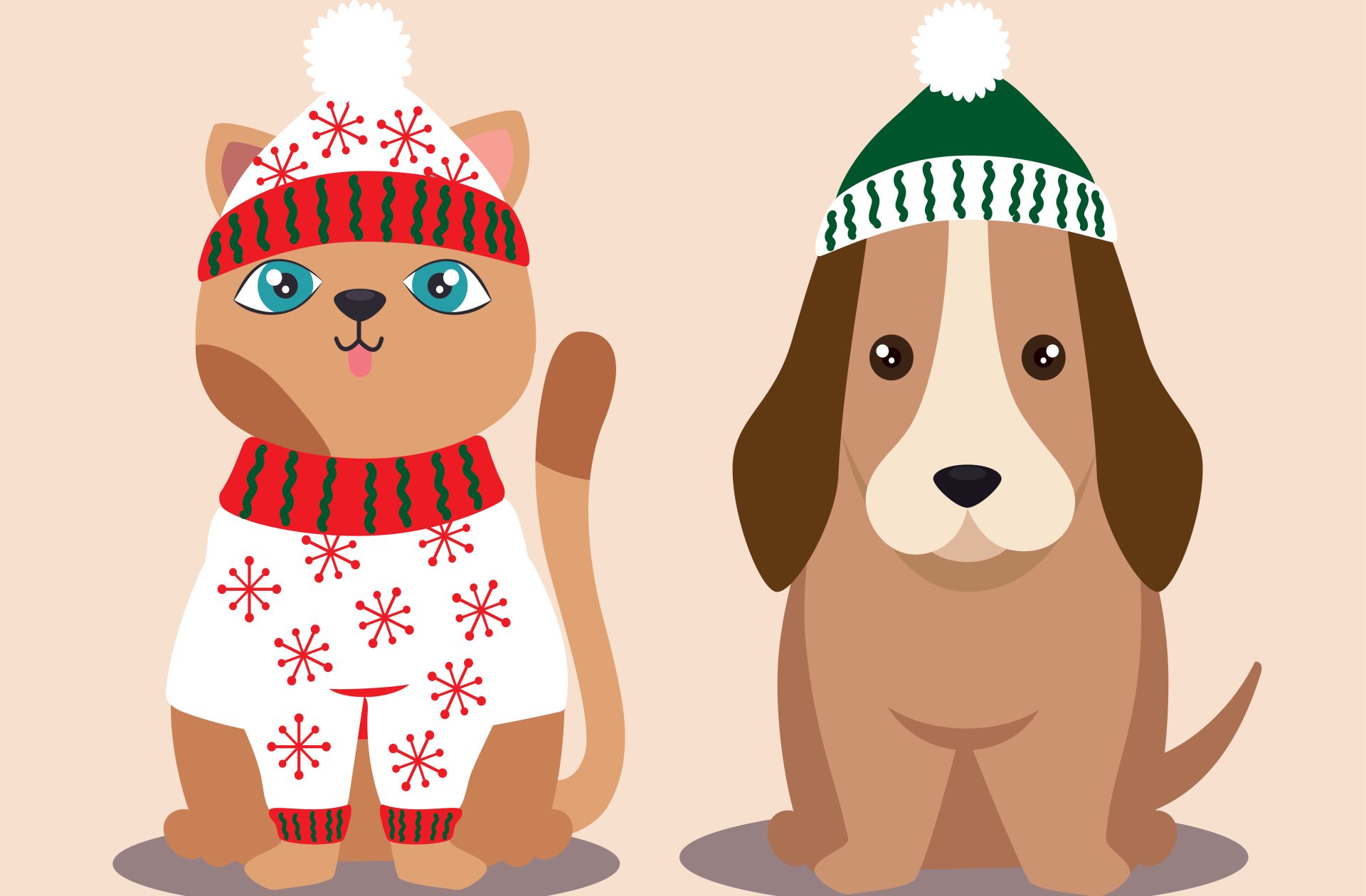 Holiday pet safety kauai family magazine